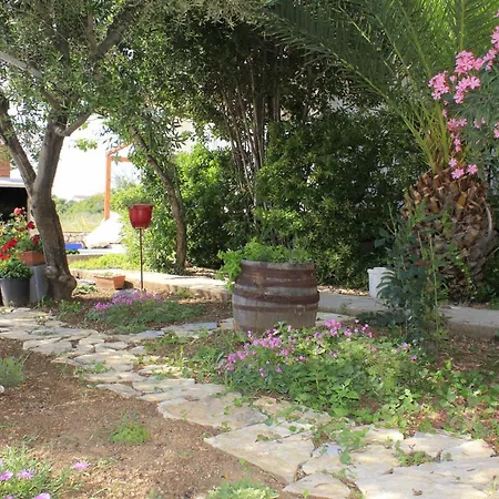 Branko Apartmán Povljana