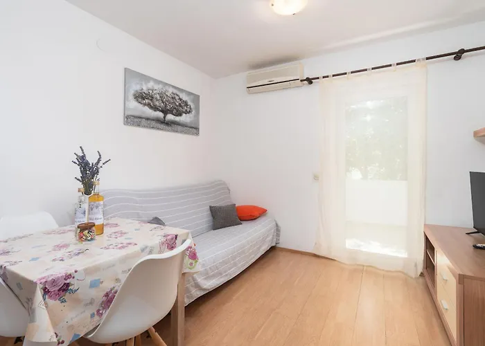 Apartman Branko *